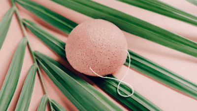 Esponjas Konjac: Origen, Historia, Beneficios y Cómo Utilizarlas en tu Rutina de Cuidado de la Piel
