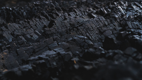 Carbón Activado: El Ingrediente Estrella para el Cuidado de la Piel - Mar Amoli