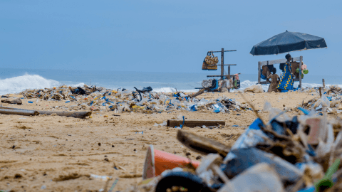 La Marea de Plástico: El Impacto de la Contaminación Plástica en Nuestros Océanos - Mar Amoli