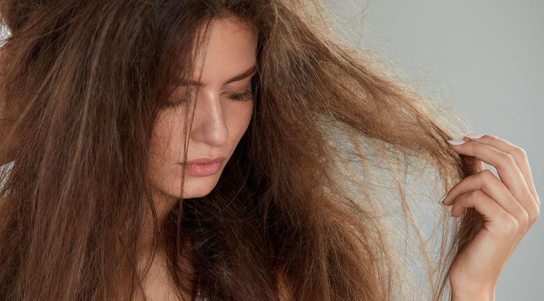 Dile Adiós al Cabello Seco y Quebradizo: Consejos para Prevenirlo y Tratarlo - Mar Amoli