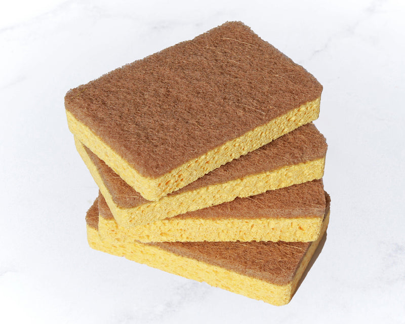 Esponja Multiusos de Fibra de Coco