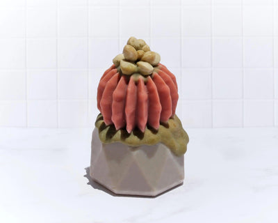 Jabón Maceta de Cactus - Mar Amoli