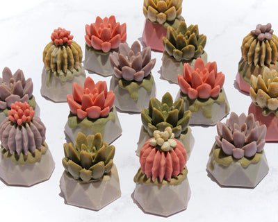 Jabón Maceta de Cactus - Mar Amoli