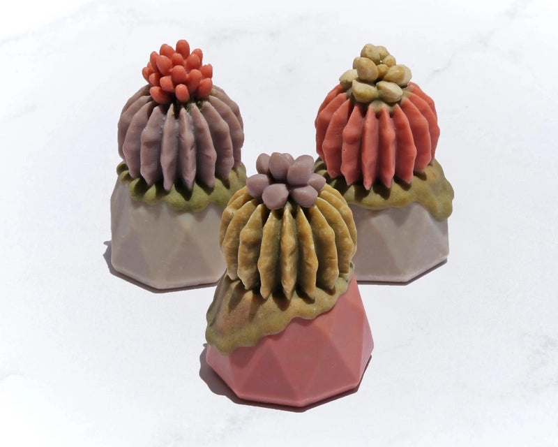 Jabón Maceta de Cactus - Mar Amoli