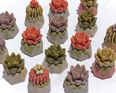 Jabón Maceta de Cactus - Mar Amoli